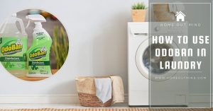 Read more about the article How to Use OdoBan in Laundry: A Comprehensive Guide