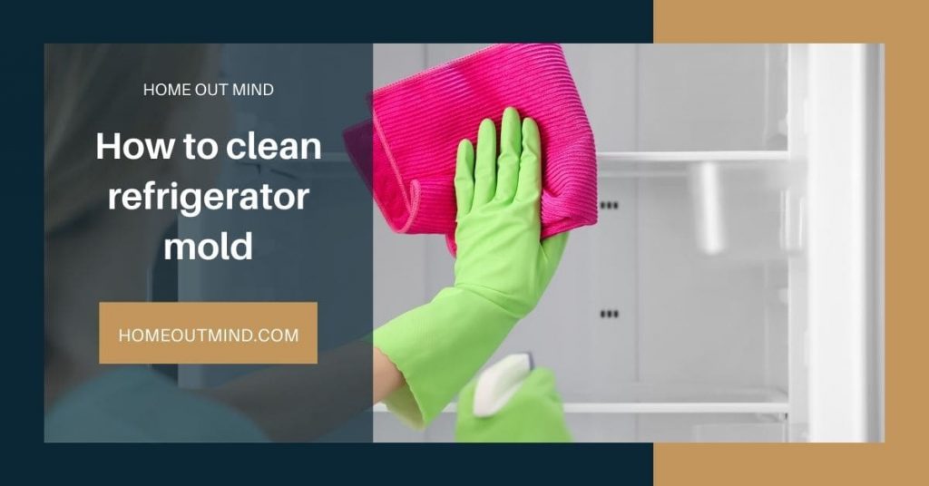 How to clean refrigerator mold