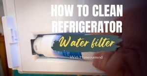 Read more about the article How to clean refrigerator water filter