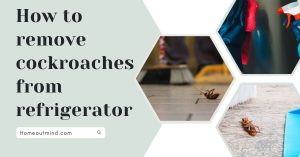 Read more about the article How to remove cockroaches from refrigerator