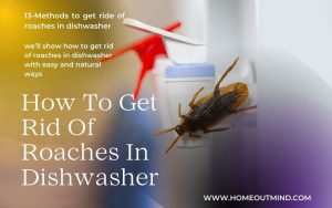 Read more about the article How To Get Rid Of Roaches In Dishwasher