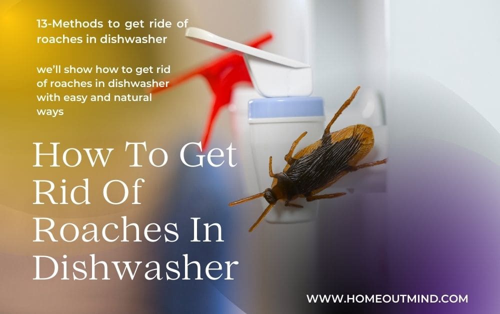 Read more about the article How to Get Rid of Roaches in Dishwasher: Top 13 Effective Methods