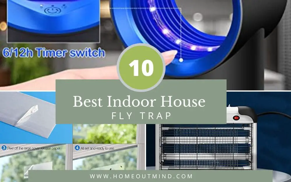 Read more about the article Top 10 Best Indoor House Fly Trap – Reviews & Buying Guide