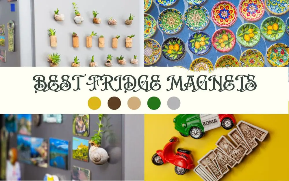 best refrigerator magnets