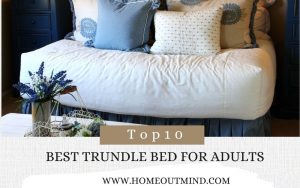 Read more about the article Top 10 Best Trundle Beds For Adults – Reviews & Buying Guide