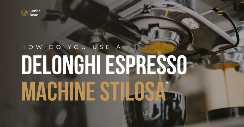 How Do You Use A DeLonghi Espresso Machine Stilosa