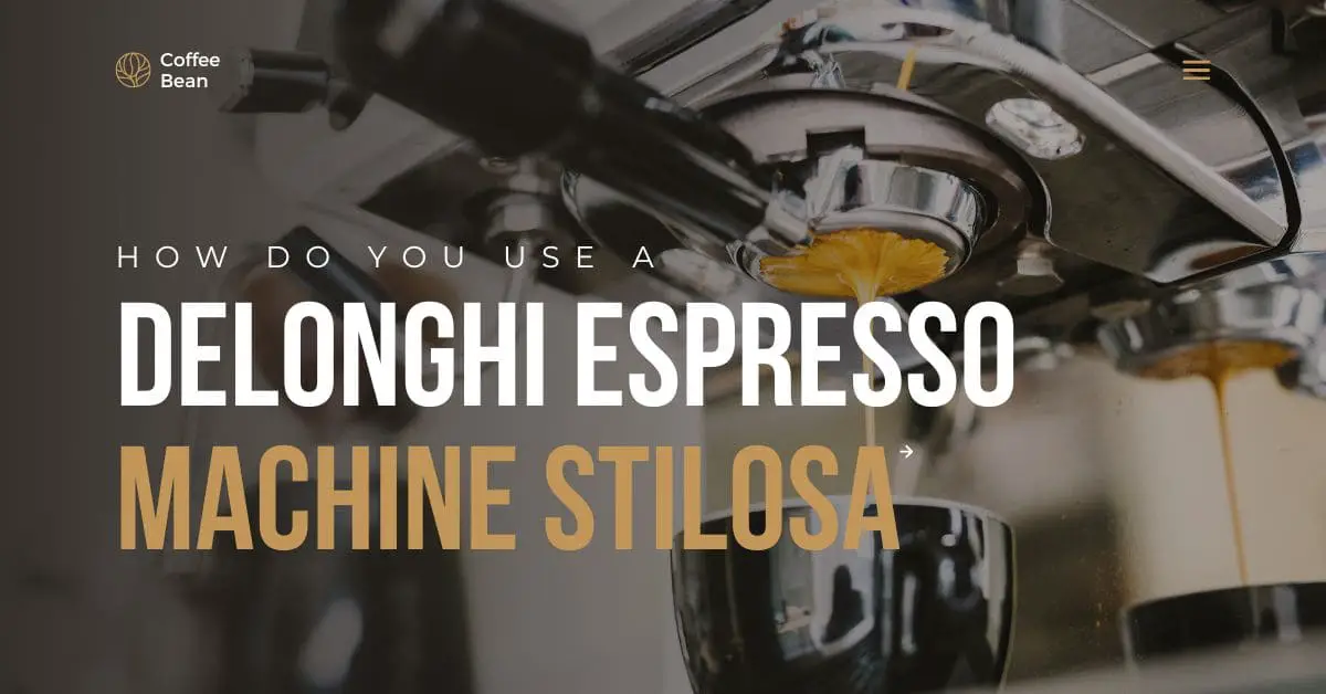 Read more about the article How Do You Use a DeLonghi Espresso Machine Stilosa: Brewing the Perfect Cup of Espresso Made Easy